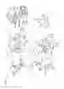 Fig. 15 - PDGF and VEGF aptamers having improved stability and their use in treating PDGF and VEGF mediated diseases and disorders