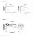 Fig. 35 - PDGF and VEGF aptamers having improved stability and their use in treating PDGF and VEGF mediated diseases and disorders