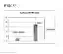 Fig. 11 - Conserved HBV and HCV sequences useful for gene silencing
