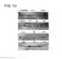 Fig. 13 - Conserved HBV and HCV sequences useful for gene silencing
