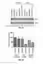 Fig. 05 - Methods and Compositions for the Treatment of Prostate Related Disorders using miR-106b