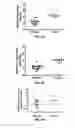 Fig. 06 - Methods and Compositions for the Treatment of Prostate Related Disorders using miR-32