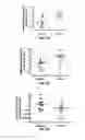 Fig. 07 - Methods and Compositions for the Treatment of Prostate Related Disorders using miR-32