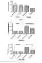 Fig. 09 - Methods and Compositions for the Treatment of Prostate Related Disorders using miR-32