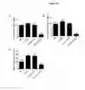 Fig. 26 - Compositions and methods for increasing erythropoietin (EPO) production