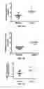 Fig. 06 - Methods and Compositions for Increasing the Efficacy of Doxorubicin Treatment in the Treatmentof Prostate Related Disorders using miR-106b-25 Cluster
