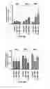 Fig. 10 - Methods and Compositions for Increasing the Efficacy of Doxorubicin Treatment in the Treatmentof Prostate Related Disorders using miR-106b-25 Cluster