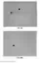 Fig. 24 - Methods and Compositions for Increasing the Efficacy of Doxorubicin Treatment in the Treatmentof Prostate Related Disorders using miR-106b-25 Cluster