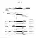 Fig. 03 - NUCLEIC ACID WHICH IS STABILIZED AGAINST DECOMPOSITION