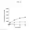 Fig. 05 - NUCLEIC ACID WHICH IS STABILIZED AGAINST DECOMPOSITION