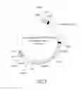 Fig. 06 - RECOMBINANT YEAST CELL AND PREPARATION PROCESS AND USE THEREOF