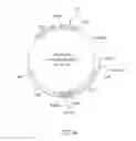 Fig. 07 - RECOMBINANT YEAST CELL AND PREPARATION PROCESS AND USE THEREOF