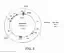 Fig. 07 - Methods for cloning and manipulating genomes