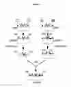 Fig. 04 - Expression Tools for Multiprotein Applications