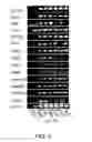 Fig. 05 - Method for production of reprogrammed cell using chromosomally unintegrated virus vector
