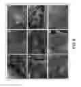 Fig. 09 - Method for production of reprogrammed cell using chromosomally unintegrated virus vector