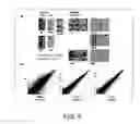 Fig. 10 - Method for production of reprogrammed cell using chromosomally unintegrated virus vector