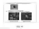 Fig. 16 - Method for production of reprogrammed cell using chromosomally unintegrated virus vector