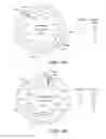 Fig. 06 - METHODS FOR CLONING AND MANIPULATING GENOMES