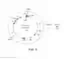 Fig. 07 - METHODS FOR CLONING AND MANIPULATING GENOMES