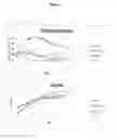 Fig. 20 - Biological production of organic compounds