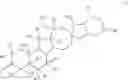Fig. 04 - Enzymatic transamination of cyclopamine analogs