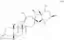 Fig. 133 - Enzymatic transamination of cyclopamine analogs