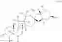 Fig. 15 - Enzymatic transamination of cyclopamine analogs