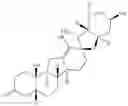 Fig. 23 - Enzymatic transamination of cyclopamine analogs