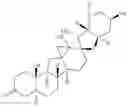 Fig. 34 - Enzymatic transamination of cyclopamine analogs
