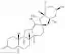 Fig. 35 - Enzymatic transamination of cyclopamine analogs