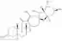 Fig. 42 - Enzymatic transamination of cyclopamine analogs