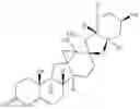 Fig. 46 - Enzymatic transamination of cyclopamine analogs