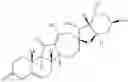 Fig. 48 - Enzymatic transamination of cyclopamine analogs