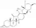 Fig. 50 - Enzymatic transamination of cyclopamine analogs