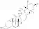 Fig. 55 - Enzymatic transamination of cyclopamine analogs
