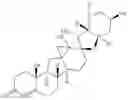 Fig. 58 - Enzymatic transamination of cyclopamine analogs