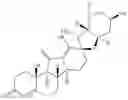 Fig. 62 - Enzymatic transamination of cyclopamine analogs
