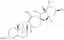 Fig. 63 - Enzymatic transamination of cyclopamine analogs