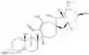 Fig. 66 - Enzymatic transamination of cyclopamine analogs