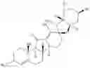 Fig. 68 - Enzymatic transamination of cyclopamine analogs