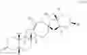 Fig. 75 - Enzymatic transamination of cyclopamine analogs