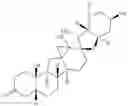 Fig. 78 - Enzymatic transamination of cyclopamine analogs