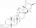 Fig. 84 - Enzymatic transamination of cyclopamine analogs