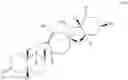 Fig. 89 - Enzymatic transamination of cyclopamine analogs