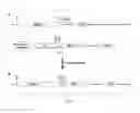 Fig. 04 - Microorganisms for diterpene production