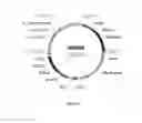 Fig. 15 - Microorganisms for diterpene production