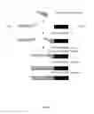 Fig. 04 - Compositions for RNA-chromatin interaction analysis and uses thereof