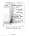 Fig. 17 - Devices and methods for controlling reversible chemical reactions at solid-liquid interfaces by rapid preconcentration and phase replacement