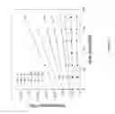 Fig. 14 - SEQUENCING SYSTEMS WITH TWO SLOW-STEP POLYMERASE ENZYMES